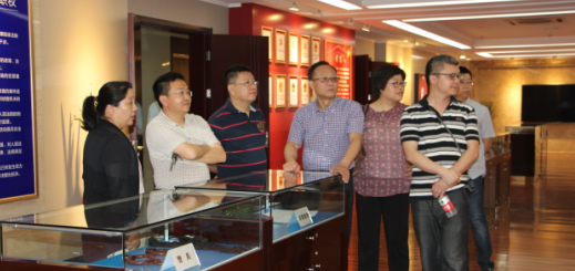 彩虹多多官网-追求健康,你我一起成长