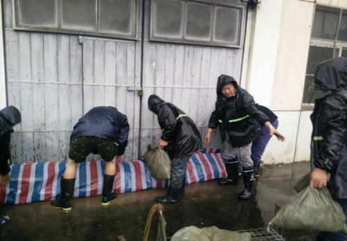 彩虹多多官网-追求健康,你我一起成长