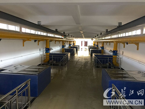 彩虹多多官网-追求健康,你我一起成长