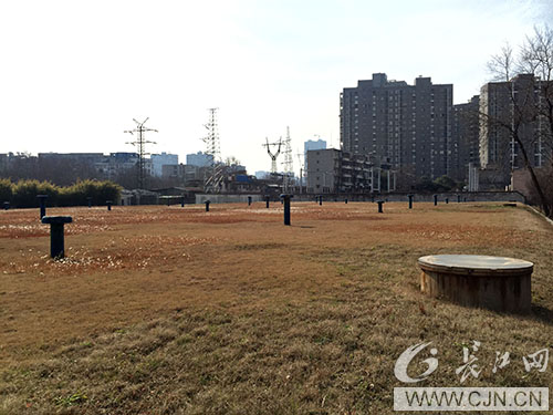 彩虹多多官网-追求健康,你我一起成长