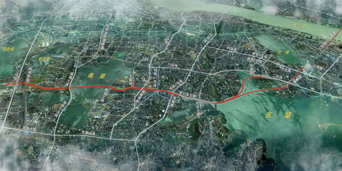 彩虹多多官网-追求健康,你我一起成长