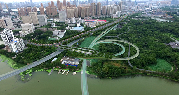 彩虹多多官网-追求健康,你我一起成长